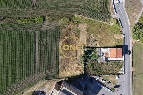 Tomt i Vila do Conde, Porto, Vila do Conde - € 910 000 | Ref: ONE0011015-1282 - foto 4