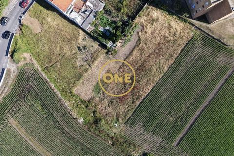 Tomt i Vila do Conde, Porto, Vila do Conde - € 910 000 | Ref: ONE0011015-1282 - foto 6
