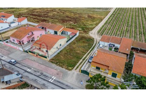 Villa i Muge, Santarem, Muge - € 375 000 | Ref: 5000AL5 - foto 2