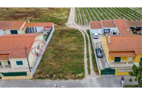 Villa i Muge, Santarem, Muge - € 375 000 | Ref: 5000AL5 - foto 3