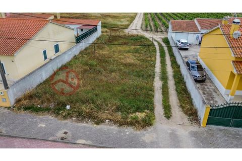 Villa i Muge, Santarem, Muge - € 375 000 | Ref: 5000AL5 - foto 4