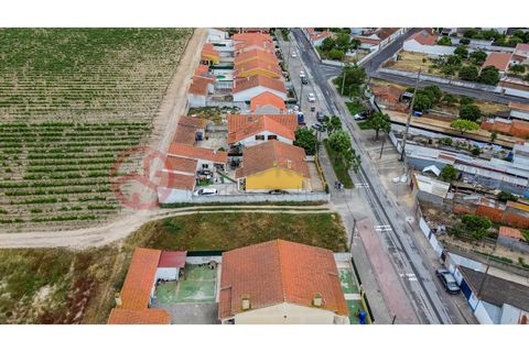Villa i Muge, Santarem, Muge - € 375 000 | Ref: 5000AL5 - foto 6