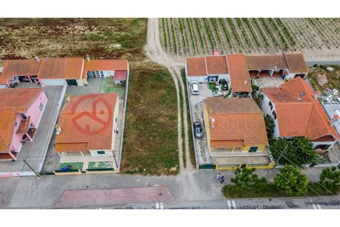 Villa i Muge, Santarem, Muge - € 375 000 | Ref: 5000AL5 - foto 7