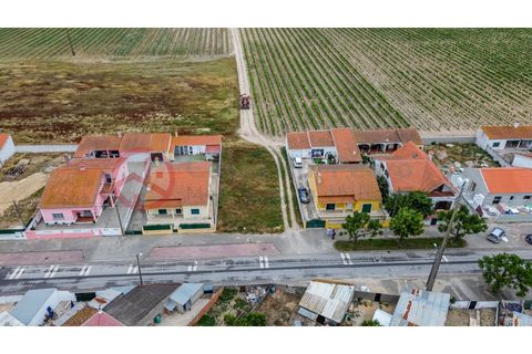 Villa i Muge, Santarem, Muge - € 375 000 | Ref: 5000AL5 - foto 8