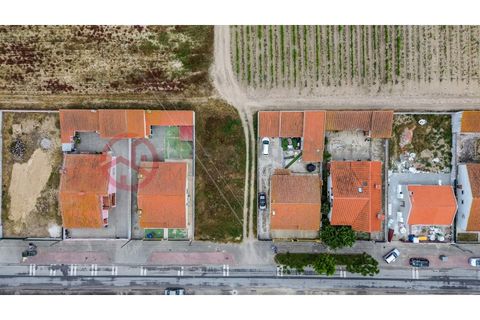 Villa i Muge, Santarem, Muge - € 375 000 | Ref: 5000AL5 - foto 9