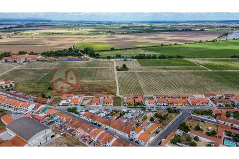 Villa i Muge, Santarem, Muge - € 375 000 | Ref: 5000AL5 - foto 20