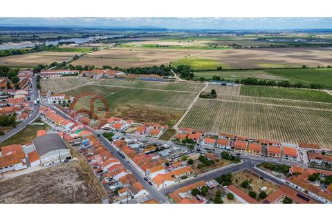 Villa i Muge, Santarem, Muge - € 375 000 | Ref: 5000AL5 - foto 22