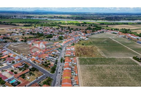 Villa i Muge, Santarem, Muge - € 375 000 | Ref: 5000AL5 - foto 23