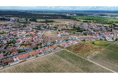 Villa i Muge, Santarem, Muge - € 375 000 | Ref: 5000AL5 - foto 24