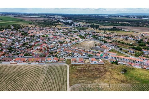 Villa i Muge, Santarem, Muge - € 375 000 | Ref: 5000AL5 - foto 25