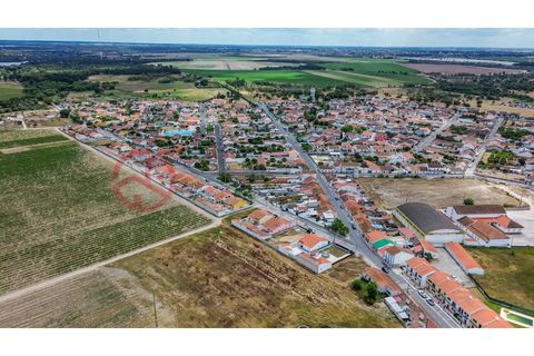 Villa i Muge, Santarem, Muge - € 375 000 | Ref: 5000AL5 - foto 26