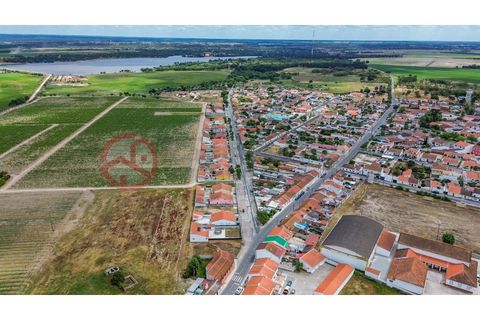 Villa i Muge, Santarem, Muge - € 375 000 | Ref: 5000AL5 - foto 27