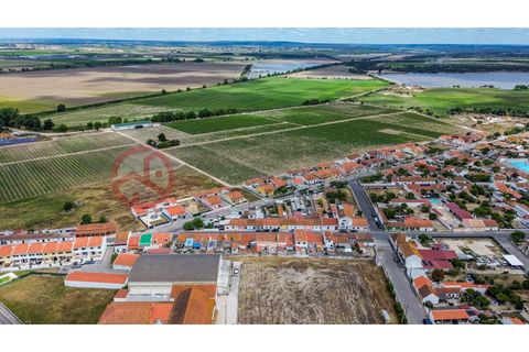 Villa i Muge, Santarem, Muge - € 375 000 | Ref: 5000AL5 - foto 28