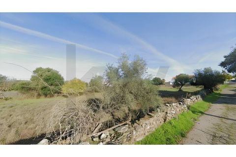 Tomt i Evora, Evora, Evora - € 70 000 | Ref: KWPT-031431 - foto 9