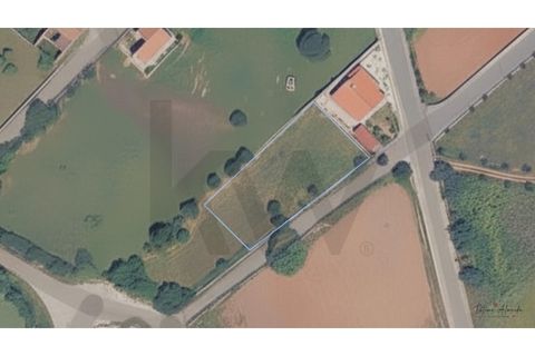 Tomt i Evora, Evora, Evora - € 70 000 | Ref: KWPT-031431 - foto 13