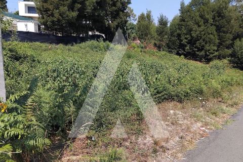 Helårsgrund i Paredes, Porto, Paredes - € 56.500 | Ref: 1360104/26PN - foto 1