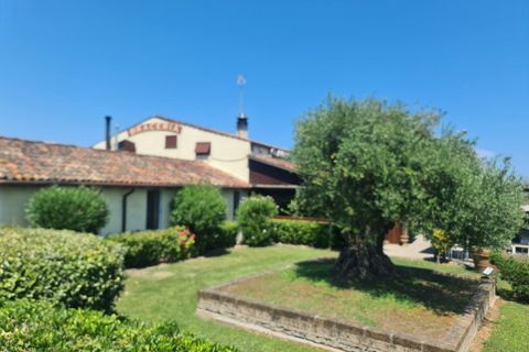 Propriedade comercial em Comacchio, Ferrara, Comacchio - € 1.800.000 | Ref: CHARLEROI RISTORANTE - foto 1