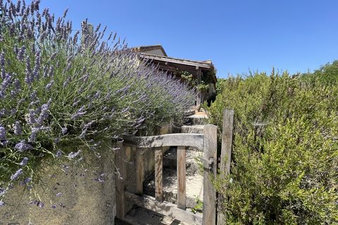 Landejendom i Bazian, Gers, Bazian - € 267.000 | Ref: 320091334 - foto 4