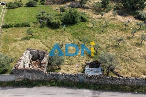 Terra a Alcains, Castelo Branco, Alcains - € 26.000 | Ref: 126008 - foto 5