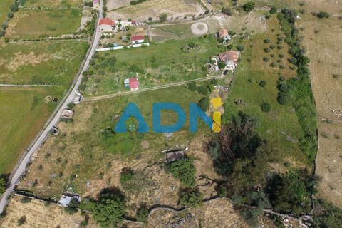 Terra a Alcains, Castelo Branco, Alcains - € 26.000 | Ref: 126008 - foto 10