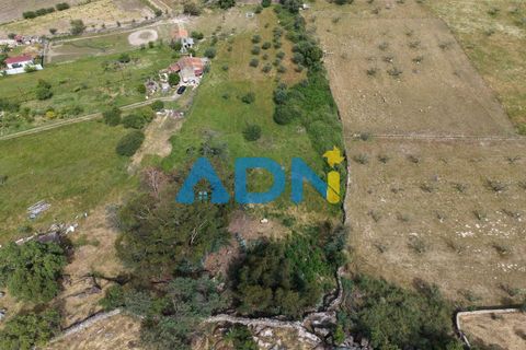 Terra a Alcains, Castelo Branco, Alcains - € 26.000 | Ref: 126008 - foto 11