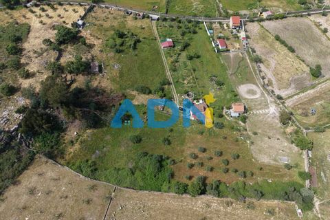Terra a Alcains, Castelo Branco, Alcains - € 26.000 | Ref: 126008 - foto 13