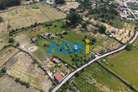 Terra a Alcains, Castelo Branco, Alcains - € 26.000 | Ref: 126008 - foto 17