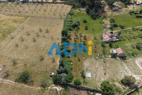 Terra a Alcains, Castelo Branco, Alcains - € 26.000 | Ref: 126008 - foto 18