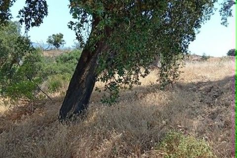 Grond in Almodovar, Beja, Almodovar - € 23.000 | Ref: 932449 - foto 3