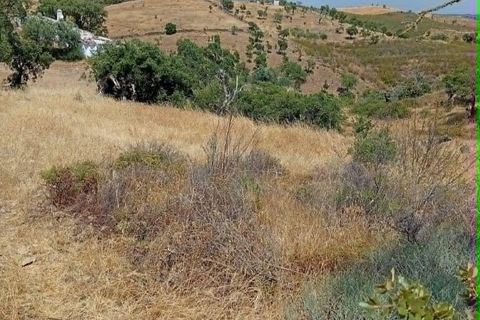 Grond in Almodovar, Beja, Almodovar - € 23.000 | Ref: 932449 - foto 4