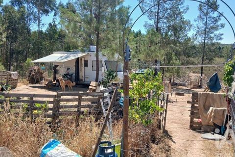 Grond in Castelo Branco, Castelo Branco, Castelo Branco - € 49.000 | Ref: 966293 - foto 1