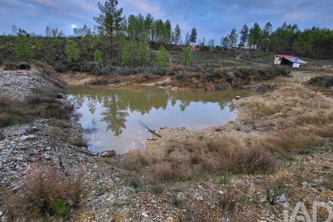 Grond in Castelo Branco, Castelo Branco, Castelo Branco - € 49.000 | Ref: 966293 - foto 3