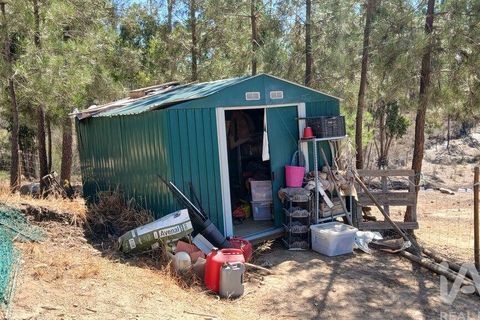 Grond in Castelo Branco, Castelo Branco, Castelo Branco - € 49.000 | Ref: 966293 - foto 10