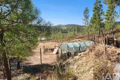 Grond in Castelo Branco, Castelo Branco, Castelo Branco - € 49.000 | Ref: 966293 - foto 11
