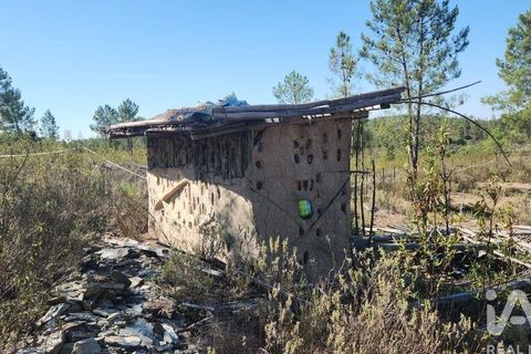 Grond in Castelo Branco, Castelo Branco, Castelo Branco - € 49.000 | Ref: 966293 - foto 12