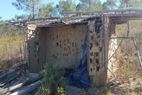 Grond in Castelo Branco, Castelo Branco, Castelo Branco - € 49.000 | Ref: 966293 - foto 13