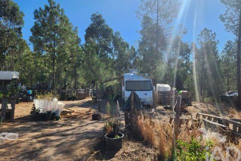 Grond in Castelo Branco, Castelo Branco, Castelo Branco - € 49.000 | Ref: 966293 - foto 15