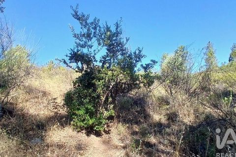 Grond in Castelo Branco, Castelo Branco, Castelo Branco - € 49.000 | Ref: 966293 - foto 17