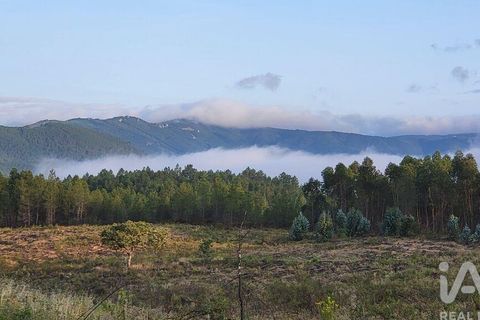 Grond in Castelo Branco, Castelo Branco, Castelo Branco - € 49.000 | Ref: 966293 - foto 20