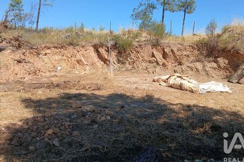 Grond in Castelo Branco, Castelo Branco, Castelo Branco - € 49.000 | Ref: 966293 - foto 21