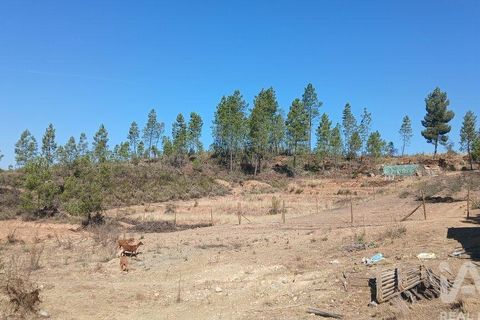 Grond in Castelo Branco, Castelo Branco, Castelo Branco - € 49.000 | Ref: 966293 - foto 22