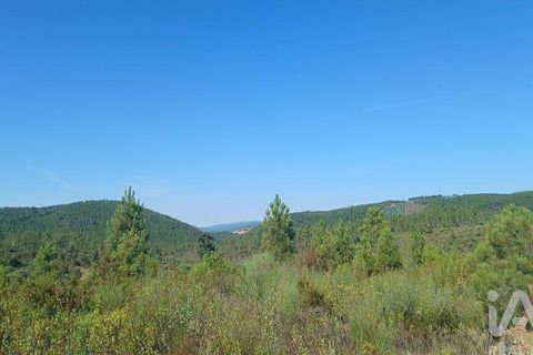 Grond in Castelo Branco, Castelo Branco, Castelo Branco - € 49.000 | Ref: 966293 - foto 24