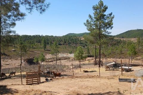 Grond in Castelo Branco, Castelo Branco, Castelo Branco - € 49.000 | Ref: 966293 - foto 25