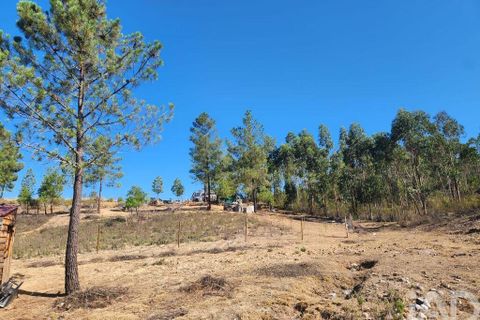 Grond in Castelo Branco, Castelo Branco, Castelo Branco - € 49.000 | Ref: 966293 - foto 27