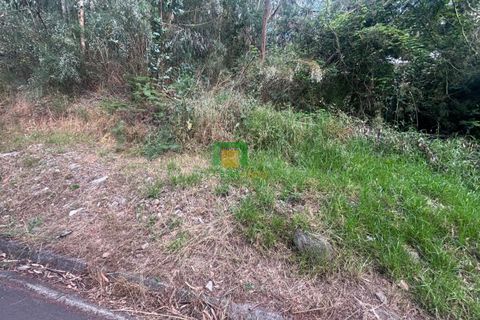 Terra a Ribeira Brava, Madeira, Ribeira Brava - € 140.000 | Ref: CT-1908/2026 - foto 2