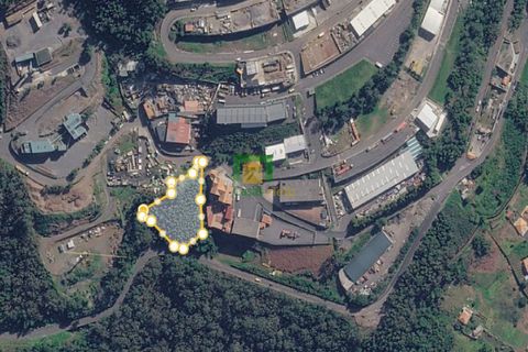 Terra a Ribeira Brava, Madeira, Ribeira Brava - € 140.000 | Ref: CT-1908/2026 - foto 5