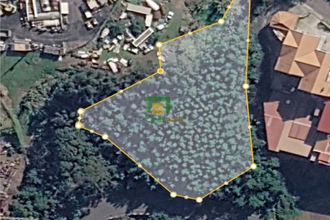 Terra a Ribeira Brava, Madeira, Ribeira Brava - € 140.000 | Ref: CT-1908/2026 - foto 6
