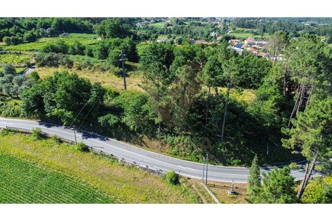 Tomt i Ponte de Lima, Viana do Castelo, Ponte de Lima - € 14 500 | Ref: V507 - foto 3