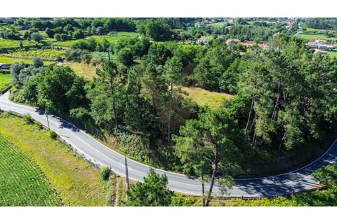 Tomt i Ponte de Lima, Viana do Castelo, Ponte de Lima - € 14 500 | Ref: V507 - foto 4