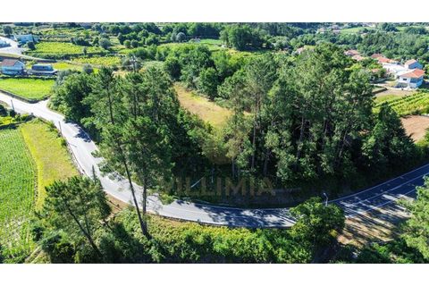 Tomt i Ponte de Lima, Viana do Castelo, Ponte de Lima - € 14 500 | Ref: V507 - foto 5